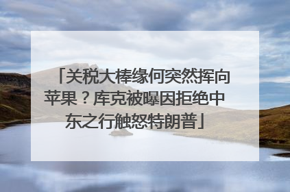 关税大棒缘何突然挥向苹果？库克被曝因拒绝中东之行触怒特朗普