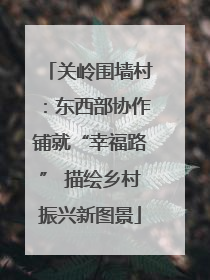 关岭围墙村：东西部协作铺就“幸福路” 描绘乡村振兴新图景
