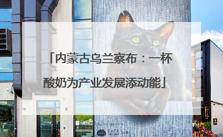 内蒙古乌兰察布：一杯酸奶为产业发展添动能