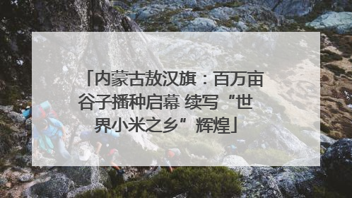 内蒙古敖汉旗：百万亩谷子播种启幕 续写“世界小米之乡”辉煌
