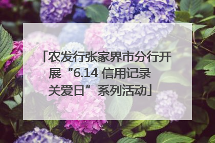 农发行张家界市分行开展“6.14 信用记录关爱日”系列活动