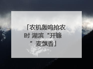 农机轰鸣抢农时 湖滨“开镰”麦飘香