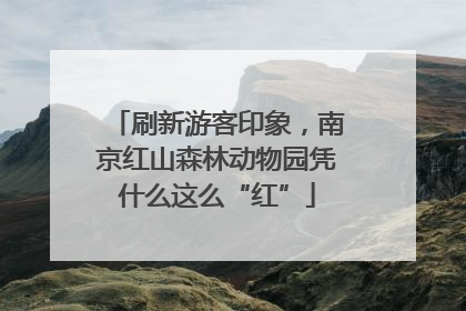 刷新游客印象，南京红山森林动物园凭什么这么“红”