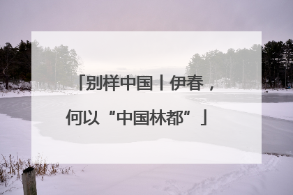 别样中国丨伊春，何以“中国林都”