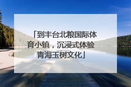 到丰台北粮国际体育小镇，沉浸式体验青海玉树文化