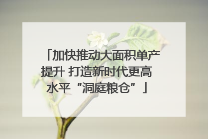加快推动大面积单产提升 打造新时代更高水平“洞庭粮仓”