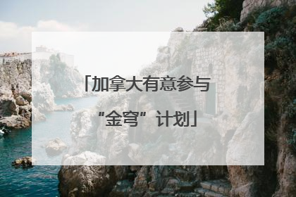 加拿大有意参与“金穹”计划
