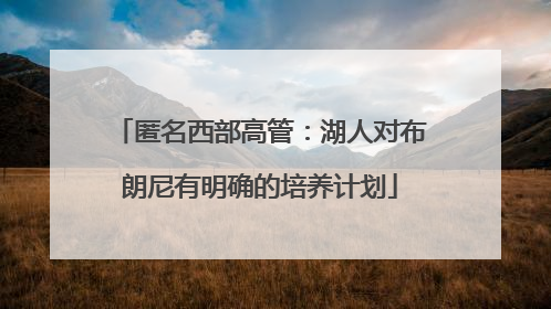 匿名西部高管：湖人对布朗尼有明确的培养计划