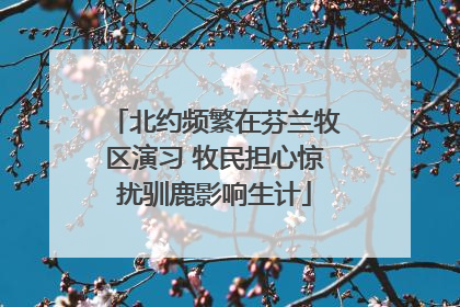 北约频繁在芬兰牧区演习 牧民担心惊扰驯鹿影响生计