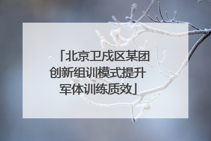 北京卫戍区某团创新组训模式提升军体训练质效