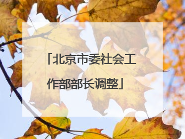 北京市委社会工作部部长调整