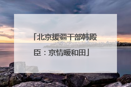 北京援疆干部韩殿臣：京情暖和田