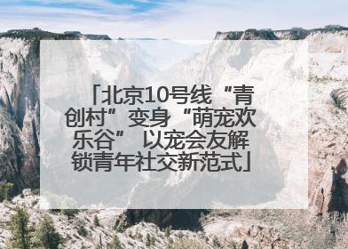 北京10号线“青创村”变身“萌宠欢乐谷” 以宠会友解锁青年社交新范式