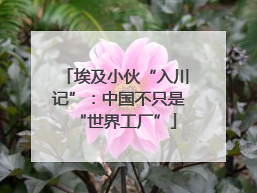 埃及小伙“入川记”：中国不只是“世界工厂”