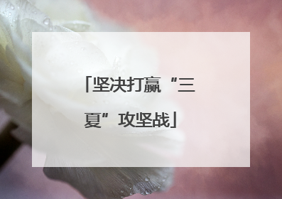 坚决打赢“三夏”攻坚战