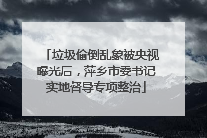 垃圾偷倒乱象被央视曝光后，萍乡市委书记实地督导专项整治