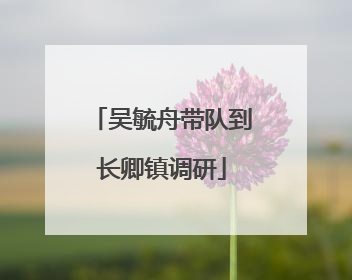 吴毓舟带队到长卿镇调研