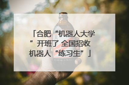 合肥“机器人大学”开班了 全国招收机器人“练习生”