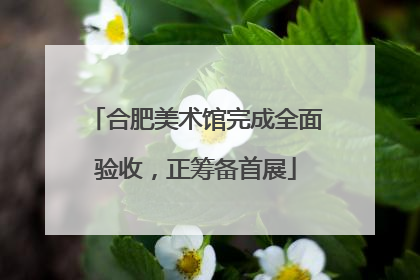 合肥美术馆完成全面验收，正筹备首展