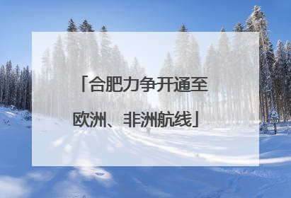 合肥力争开通至欧洲、非洲航线