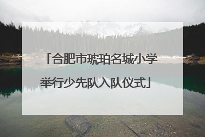合肥市琥珀名城小学举行少先队入队仪式