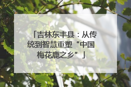 吉林东丰县：从传统到智慧重塑“中国梅花鹿之乡”