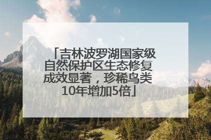 吉林波罗湖国家级自然保护区生态修复成效显著，珍稀鸟类10年增加5倍