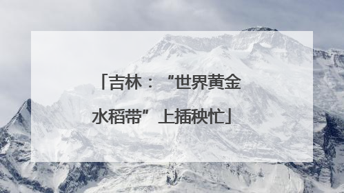 吉林：“世界黄金水稻带”上插秧忙