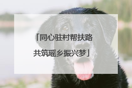 同心驻村帮扶路 共筑瑶乡振兴梦