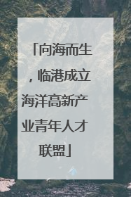 向海而生，临港成立海洋高新产业青年人才联盟