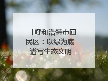 呼和浩特市回民区：以绿为底 谱写生态文明建设新篇章