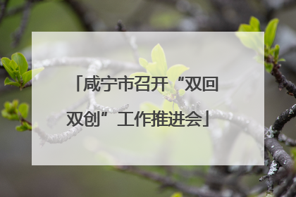咸宁市召开“双回双创”工作推进会