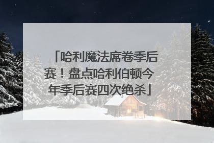 哈利魔法席卷季后赛！盘点哈利伯顿今年季后赛四次绝杀