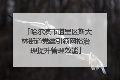 哈尔滨市道里区斯大林街道党建引领网格治理提升管理效能