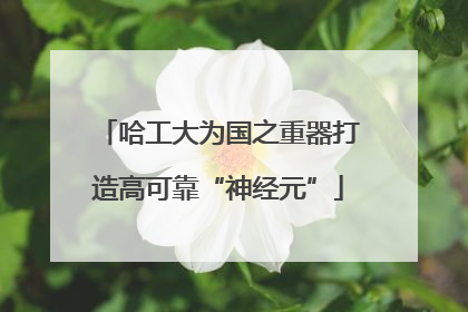 哈工大为国之重器打造高可靠“神经元”