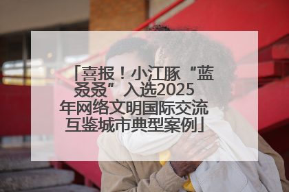喜报！小江豚“蓝叒叒”入选2025年网络文明国际交流互鉴城市典型案例