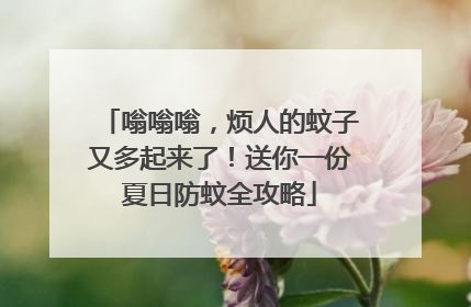 嗡嗡嗡，烦人的蚊子又多起来了！送你一份夏日防蚊全攻略