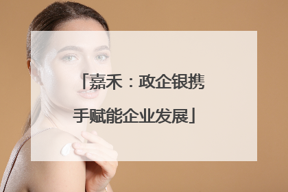 嘉禾：政企银携手赋能企业发展