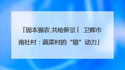 固本强农 共绘新景 ︳卫辉市南社村：蔬菜村的“链”动力