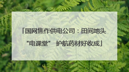 国网焦作供电公司：田间地头“电课堂” 护航药材好收成
