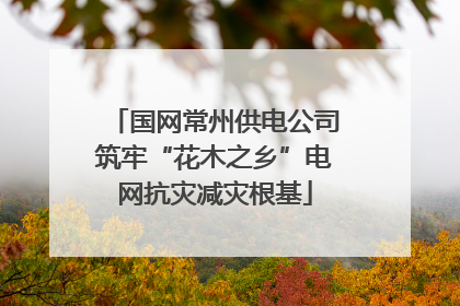 国网常州供电公司筑牢“花木之乡”电网抗灾减灾根基