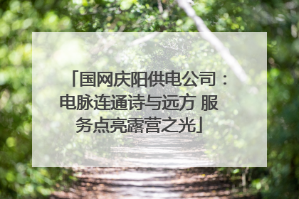 国网庆阳供电公司：电脉连通诗与远方 服务点亮露营之光