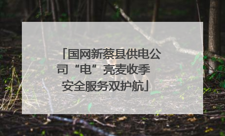 国网新蔡县供电公司“电”亮麦收季 安全服务双护航
