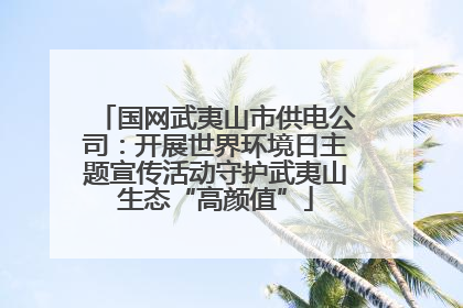 国网武夷山市供电公司:开展世界环境日主题宣传活动守护武夷山生态“高颜值”