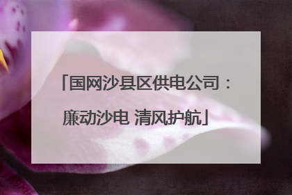 国网沙县区供电公司：廉动沙电 清风护航