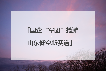 国企“军团”抢滩山东低空新赛道