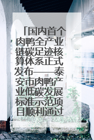 国内首个肉鸭全产业链碳足迹核算体系正式发布——泰安市肉鸭产业低碳发展标准示范项目顺利通过验收