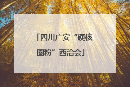 四川广安“硬核圈粉”西洽会