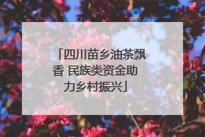 四川苗乡油茶飘香 民族类资金助力乡村振兴