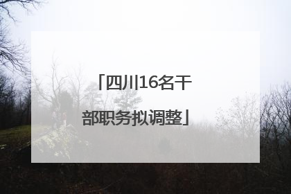 四川16名干部职务拟调整